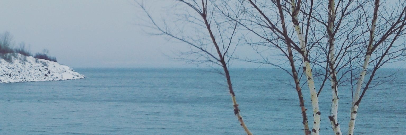 AnneStMarie's profile banner image