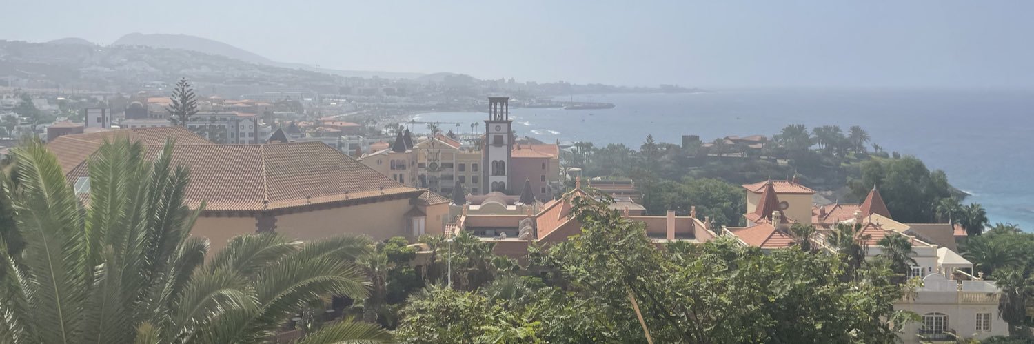 S banner