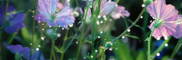 livingmathroom Profile Banner