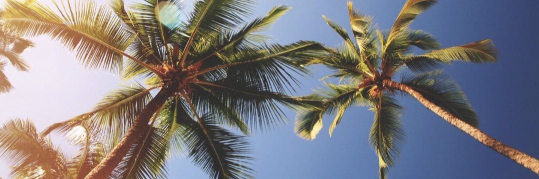 Morello215's profile banner image