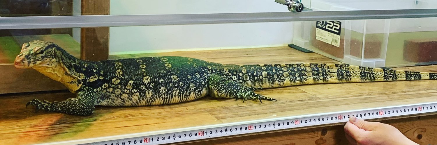 ⚜️かずのこ⚜️ banner