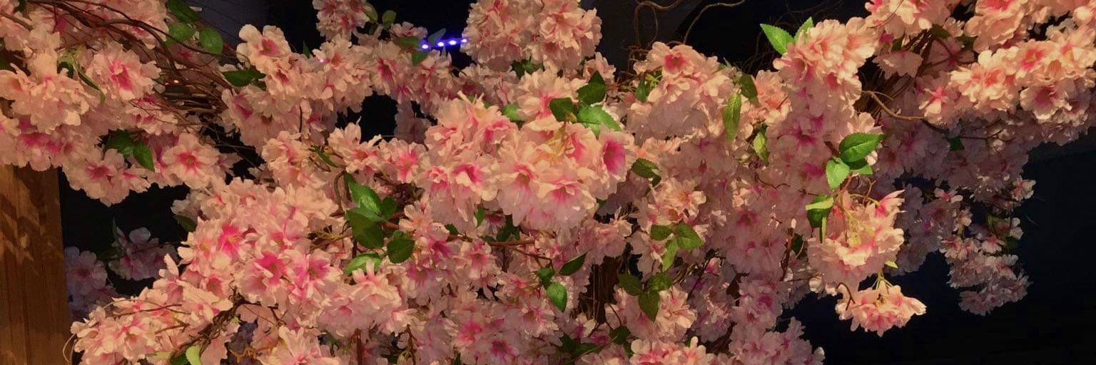 beafires's profile banner image