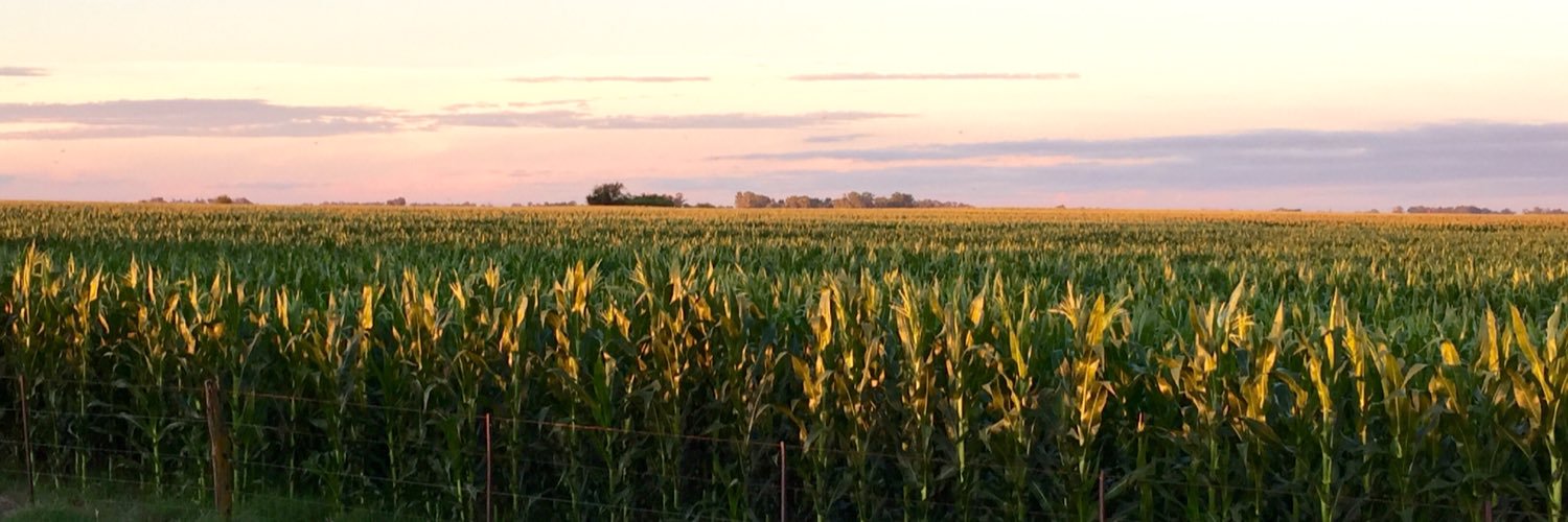 Cristalcito's profile banner image