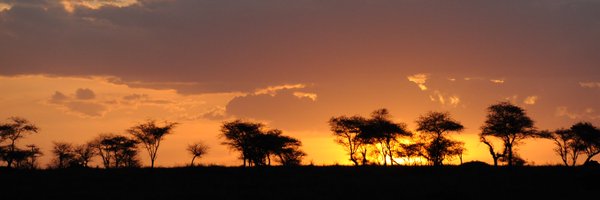 corvanderwel Profile Banner