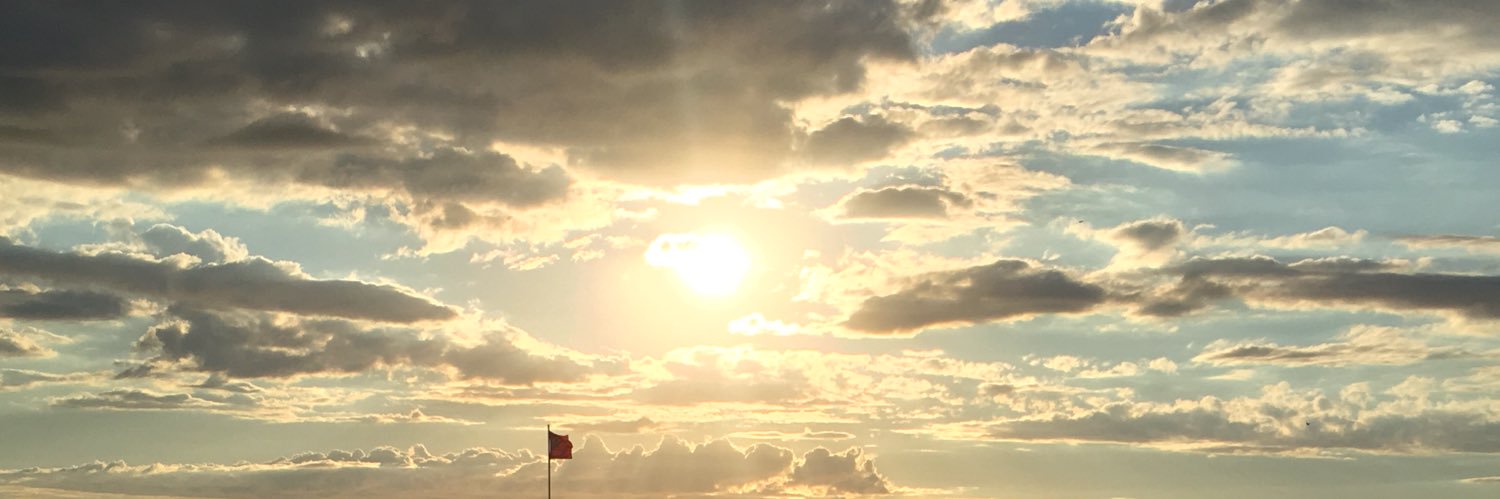 Kate Baer banner