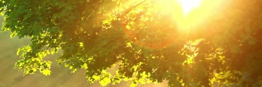 St.ClairCollegeCAE banner