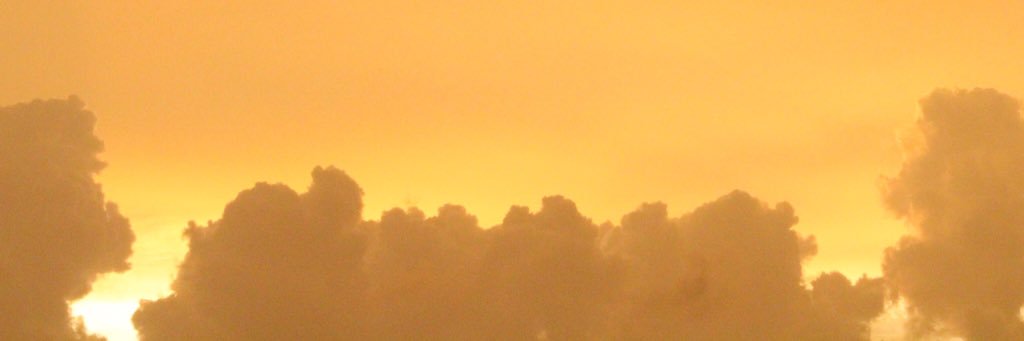 rolinoz's profile banner image