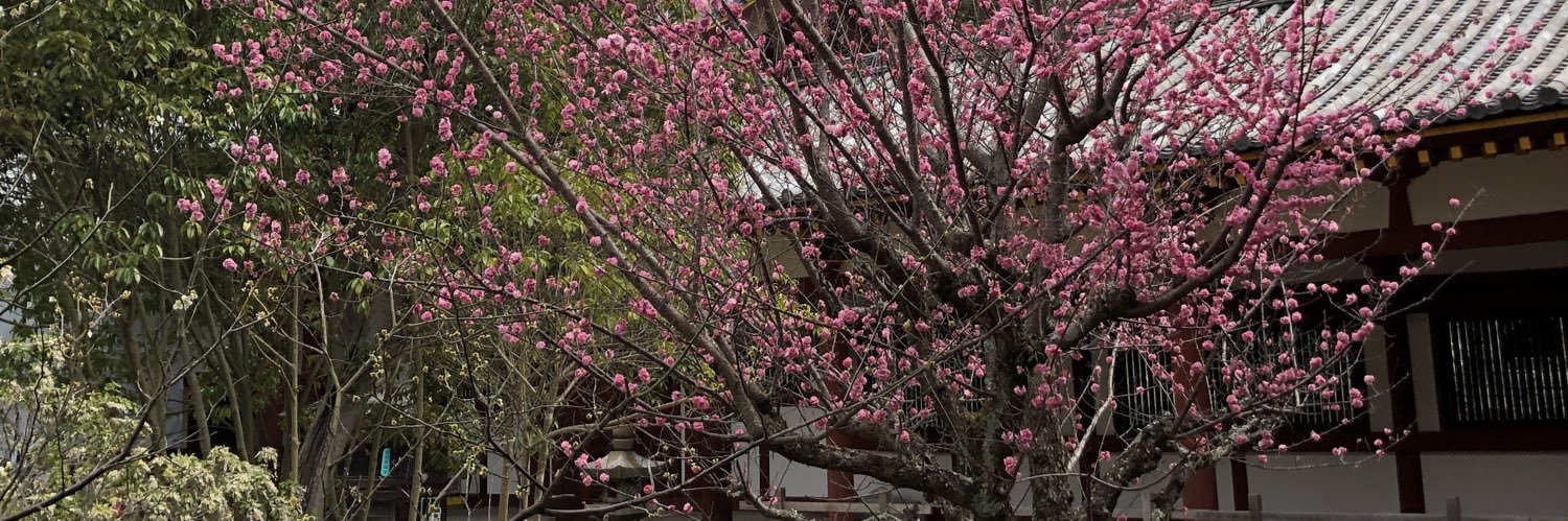 raskolnikov 🐀 banner