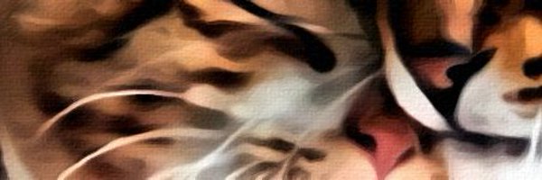 Telekonoid Profile Banner