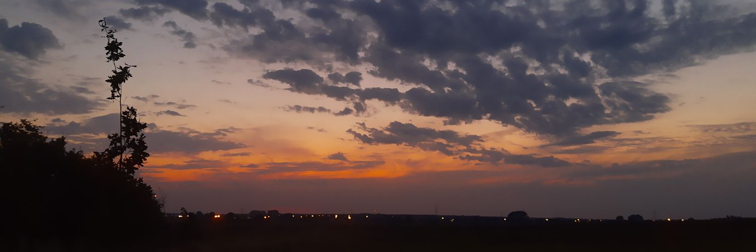 sofiedecl's profile banner image