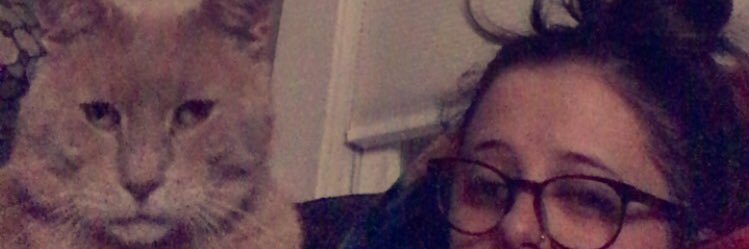SarahLemmler's profile banner image