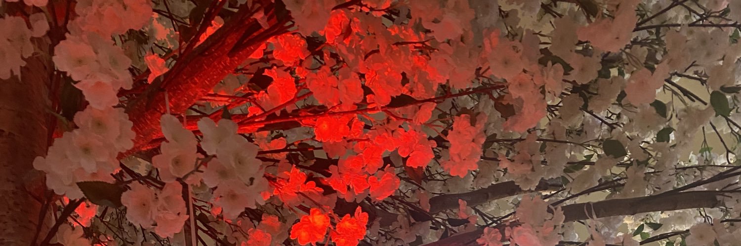 chloeb899's profile banner image