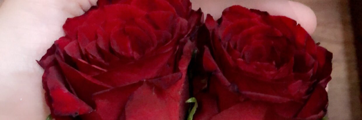 sosorkd's profile banner image