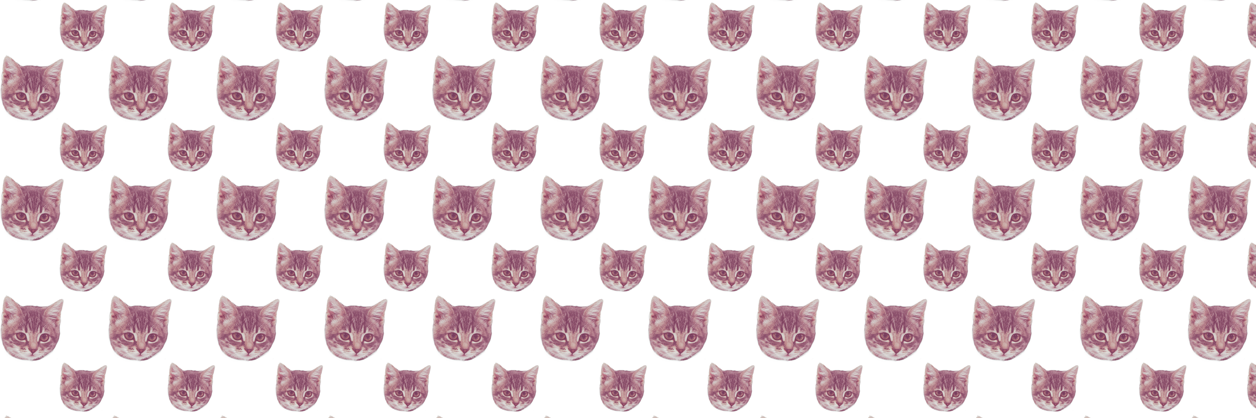 Cat3Sin's profile banner image