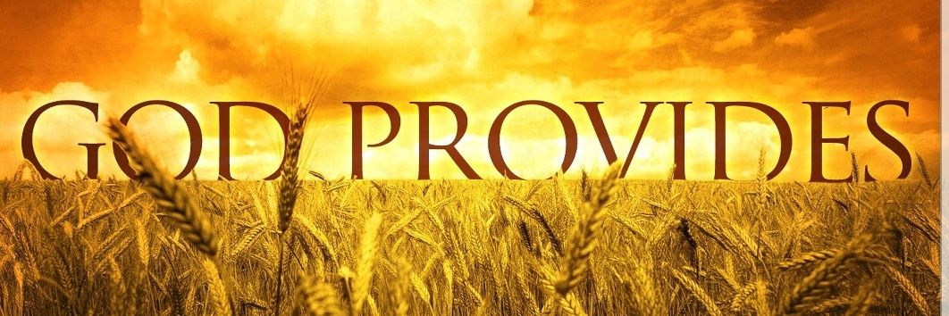 Joshua Hohlbein banner