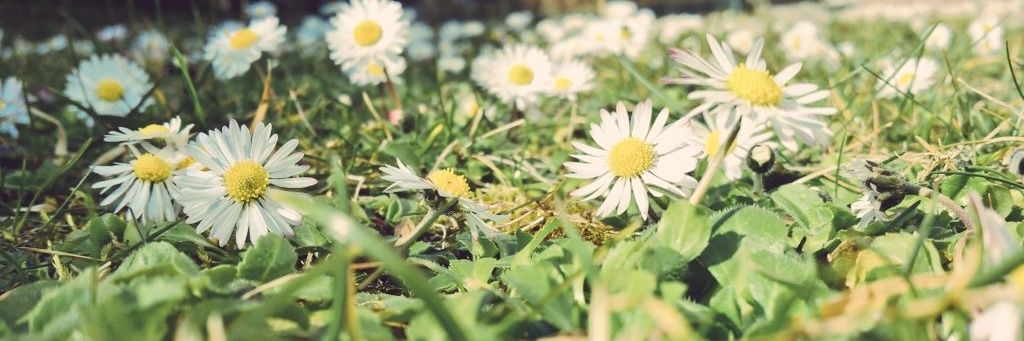 Sunnyy86's profile banner image