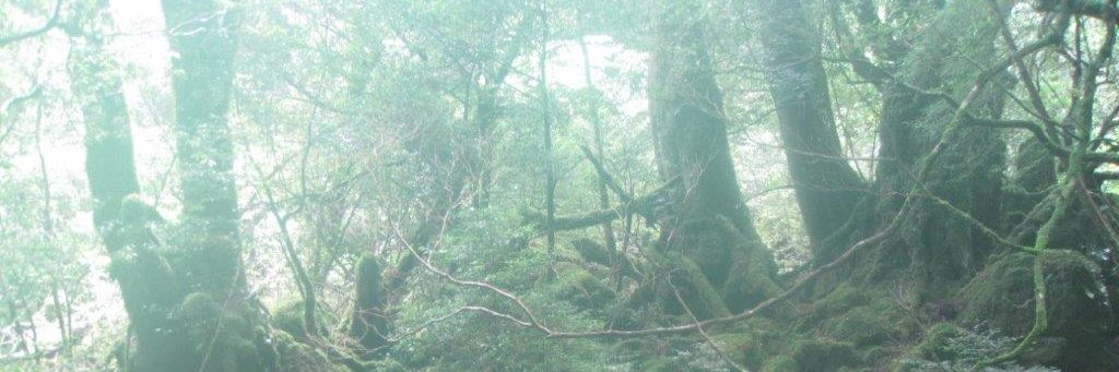 toeic___t's profile banner image