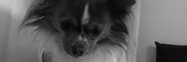 cathy1609's profile banner image