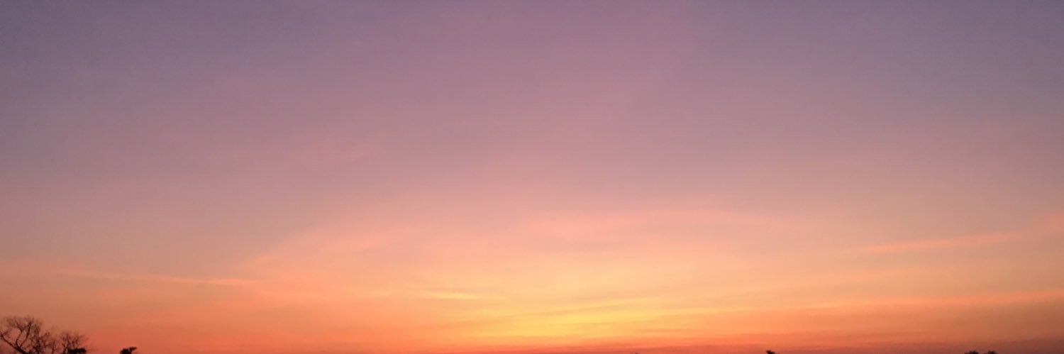 Marfpla's profile banner image