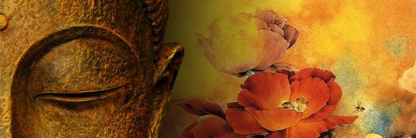 PMeetali1's profile banner image