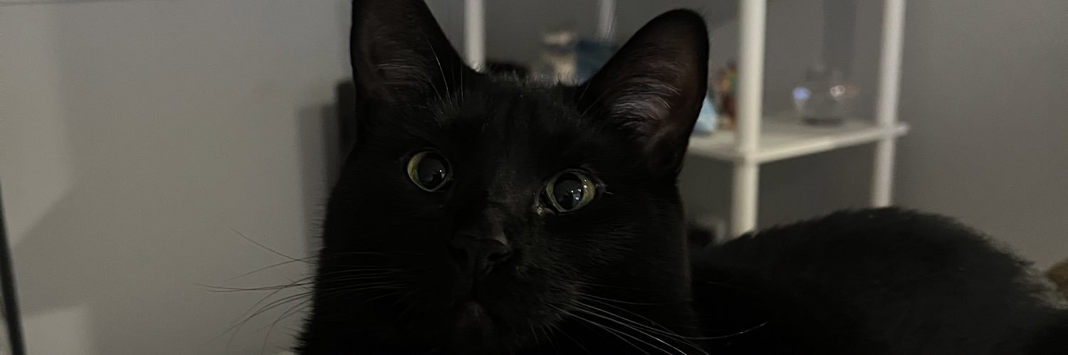 maddiemarshman's profile banner image