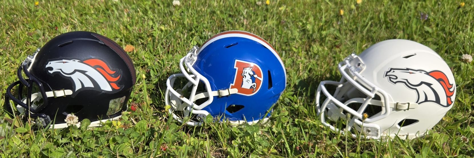 Daniel Normandin🇨🇦🏈🐎 banner