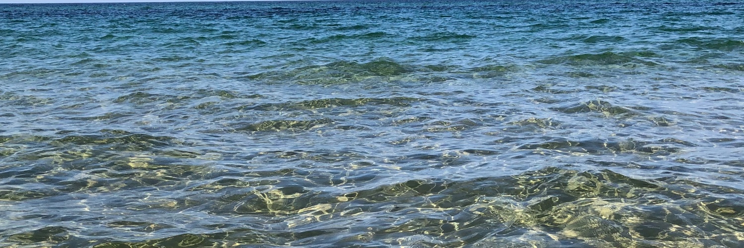 ktmandrews's profile banner image