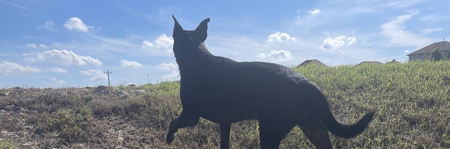 shilailey's profile banner image