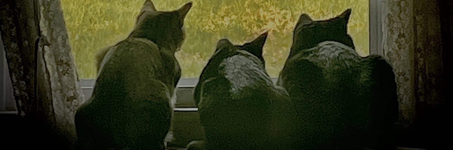 KtNiwdlab's profile banner image