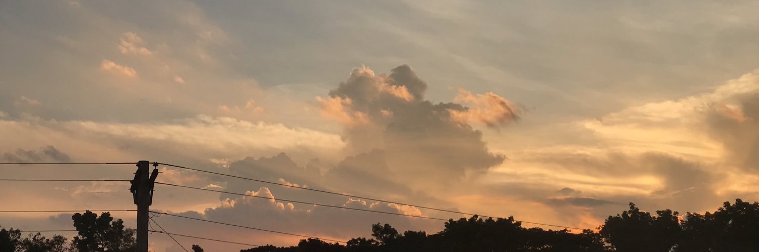 guanzoncath's profile banner image