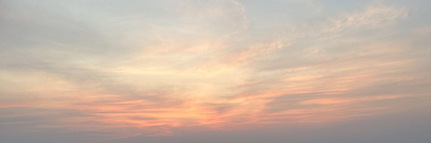 TheRealMerryE's profile banner image