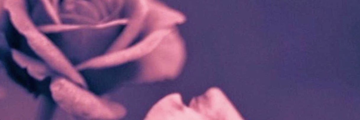 Waahbe's profile banner image