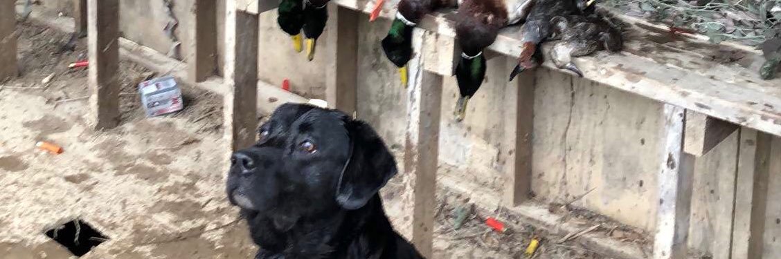 Jrutt76's profile banner image