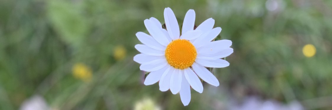 fernanda_mov's profile banner image