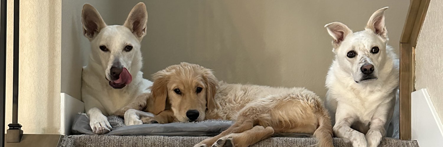 Brandon Stowell banner