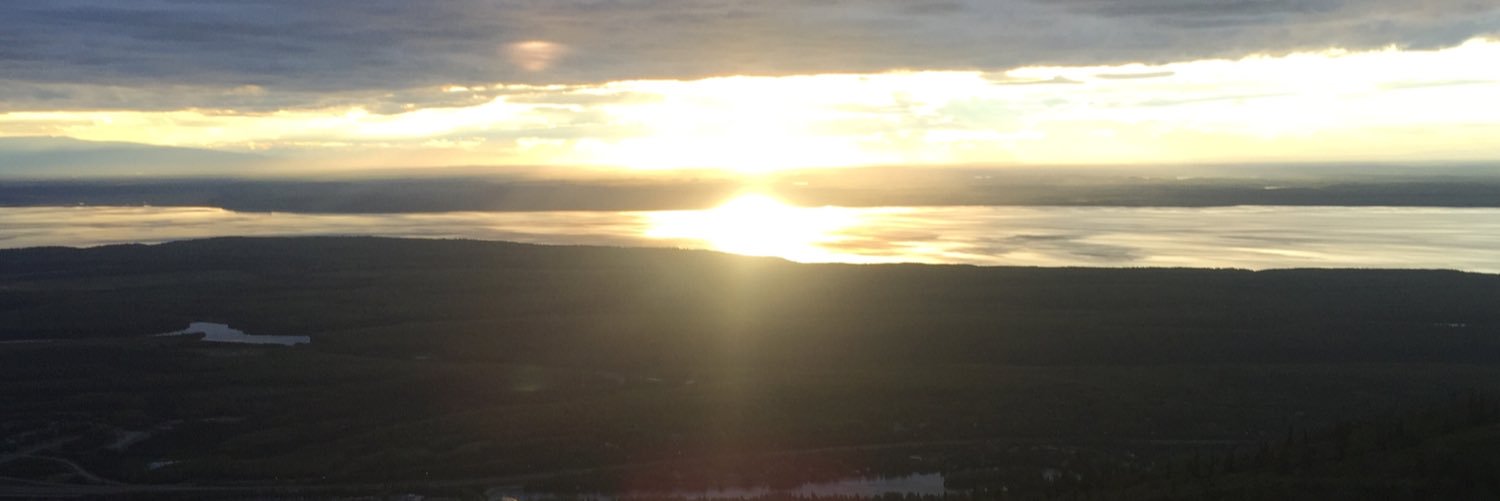 calbanese95's profile banner image