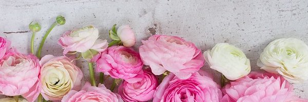 bellcherry1108 Profile Banner