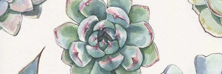 Danni_Flohre's profile banner image