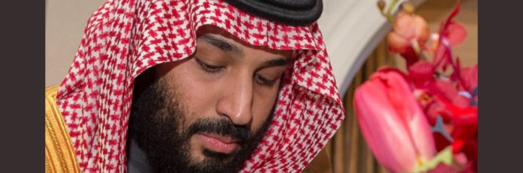 هيمو الأمير banner