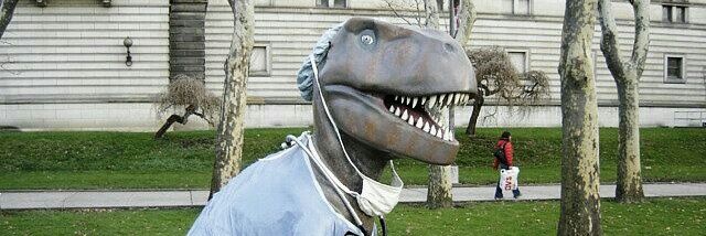 Rexosaurio's profile banner image