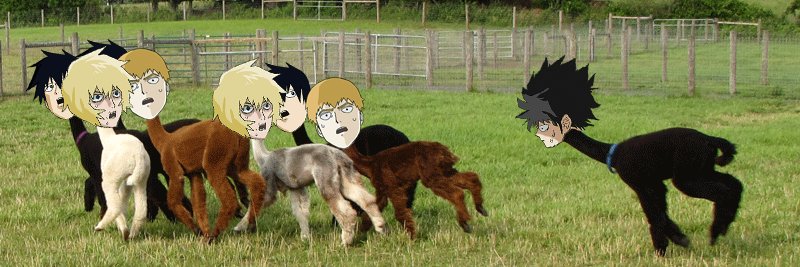 TearsofWeenis's profile banner image