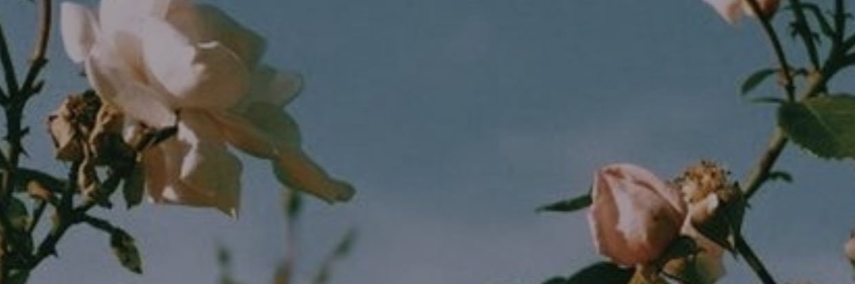 madebysasha's profile banner image