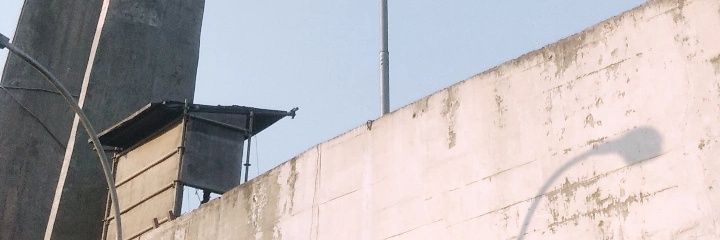 rafaiandoli's profile banner image