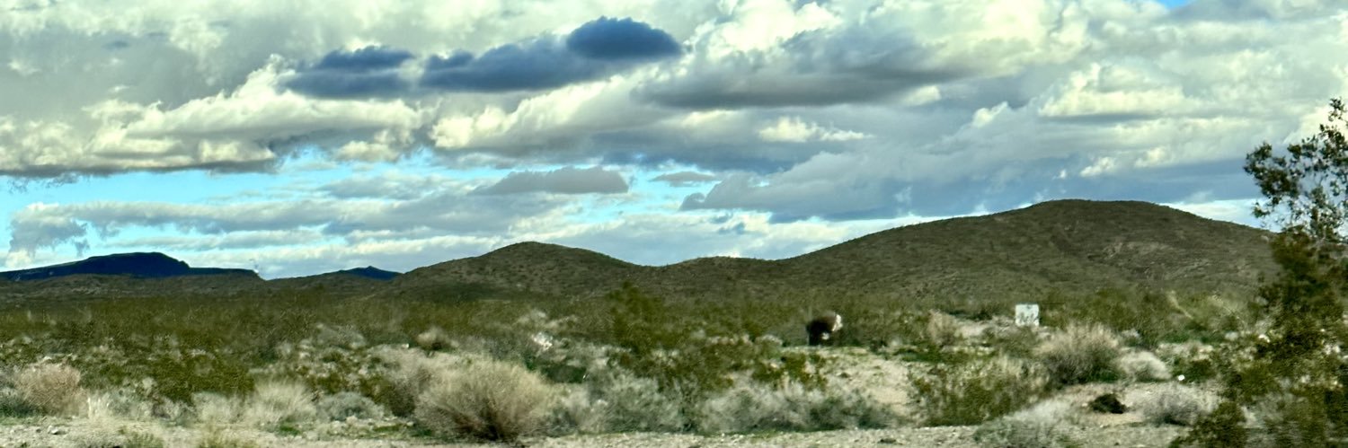 Theresa Lubelski @techresa@techhub.social banner