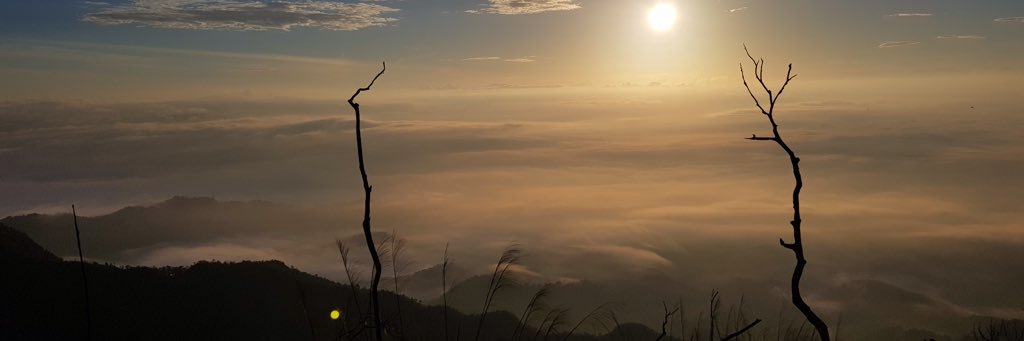 Am_2807's profile banner image