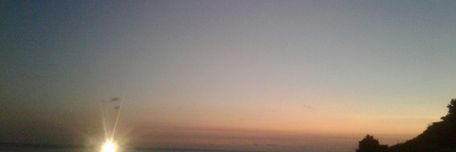 SativianiRiza's profile banner image