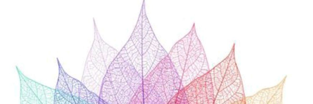 YubraE's profile banner image