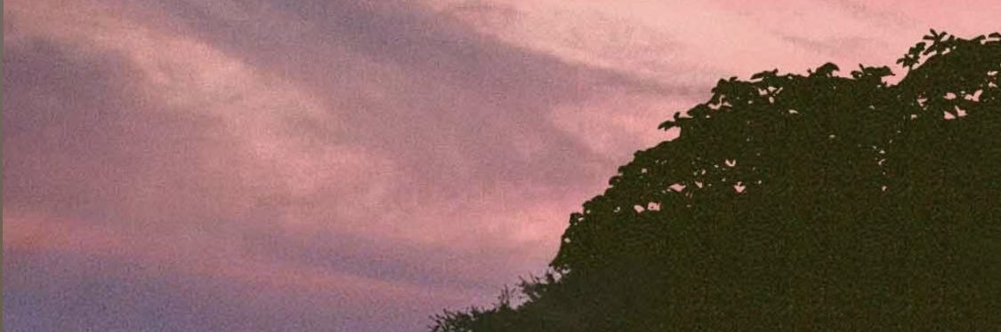 _hsandy6's profile banner image