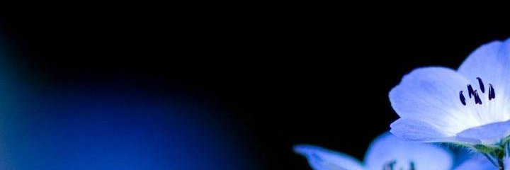 gencozlm's profile banner image