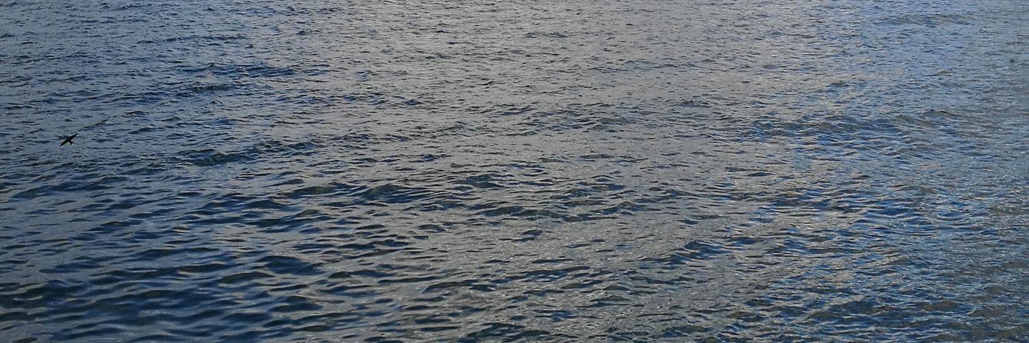 Blank banner